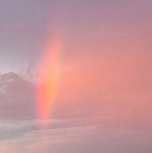 Meet your Posher, Brandy